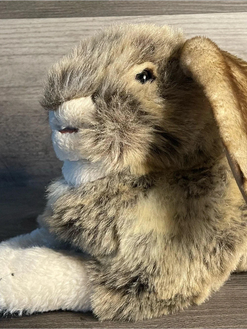 Folkmanis HOLLAND LOP RABBIT 18